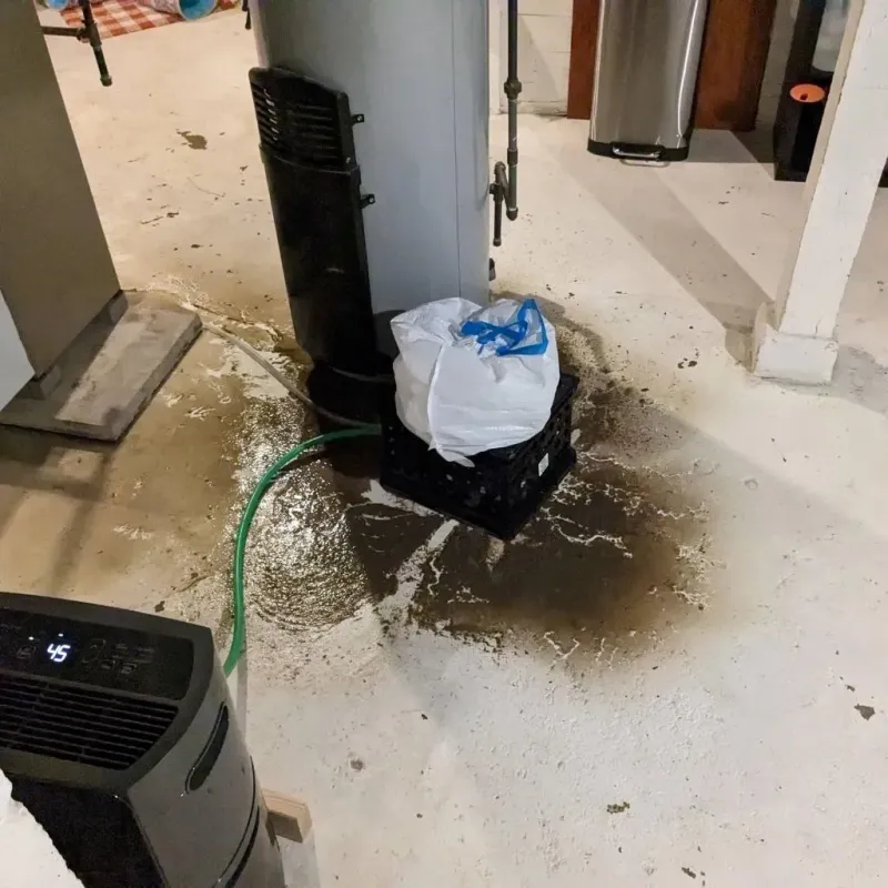 Sewage Backup Cleanup Service in Jeff Davis County, TX
